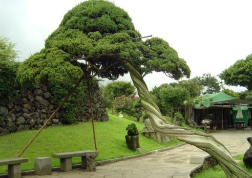 韓國(guó)濟(jì)州島十大旅游景點(diǎn)排行榜 濟(jì)州島有什么好玩的地方