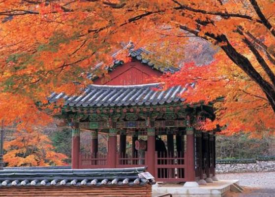 韓國(guó)全羅北道十大旅游景點(diǎn)排行榜 全羅北道有什么好玩的地方
