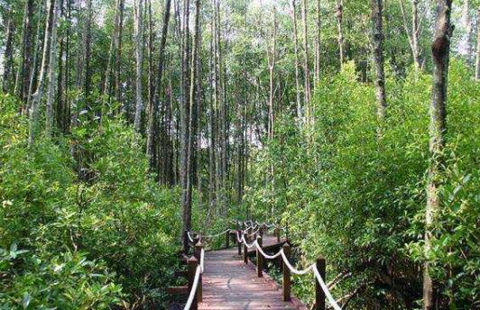 馬來西亞霹靂州十大旅游景點(diǎn)排行榜 霹靂州有什么好玩的地方