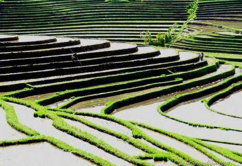 印度尼西亞巴厘島十大旅游景點(diǎn)排行榜 巴厘島旅游有什么好玩的地方