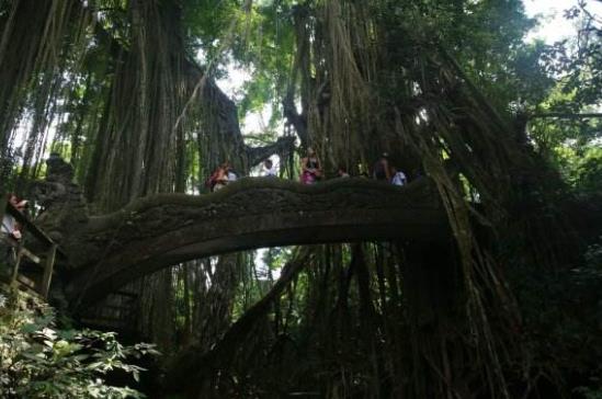 印度尼西亞巴厘島十大旅游景點(diǎn)排行榜 巴厘島旅游有什么好玩的地方
