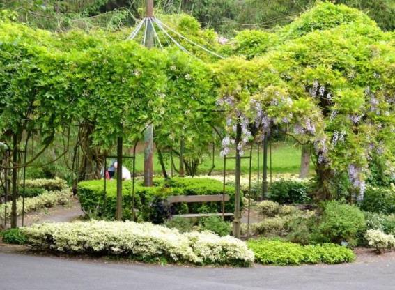 英格蘭斯塔福德郡五大旅游景點(diǎn)排行榜 好玩的地方推薦