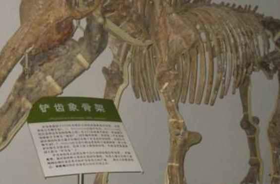 萊茵蘭-普法爾茨州美因茨四大旅游景點(diǎn)排行榜 好玩的地方推薦