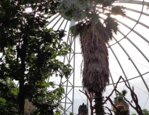 德國漢堡十大旅游景點排行榜 漢堡好玩的地方推薦