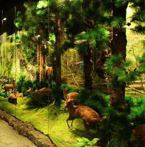 德國漢堡博物館十大旅游景點(diǎn)排行榜 好玩的地方推薦
