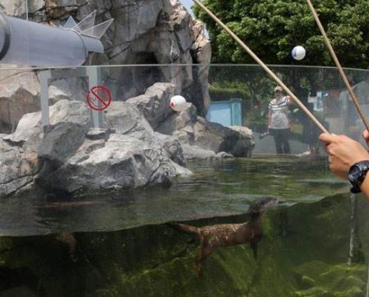 荷蘭德倫特省六大旅游排行 埃門(mén)動(dòng)物園為歐洲最佳動(dòng)物園之一