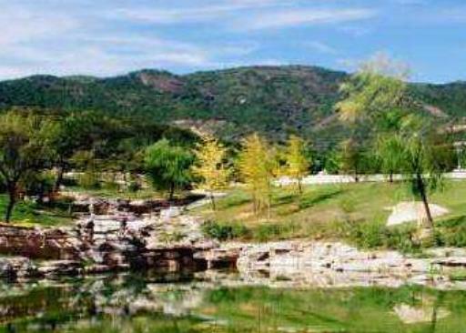 波蘭盧布林省九大旅游景點排行 波列斯國家公園內(nèi)有許多著名沼澤