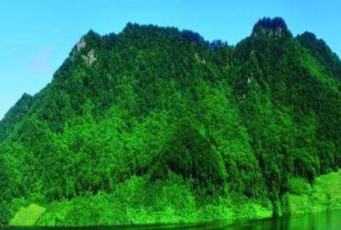 波蘭圣十字省三大旅游景點(diǎn)排行 鮑爾泰克橡樹是波蘭最著名的樹