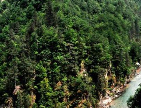 黑山十大旅游景點(diǎn)排行 塔拉河谷大橋位于黑山北部塔拉河谷地區(qū)