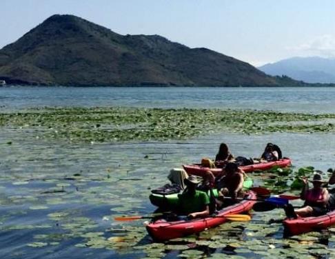 黑山十大旅游景點(diǎn)排行 塔拉河谷大橋位于黑山北部塔拉河谷地區(qū)