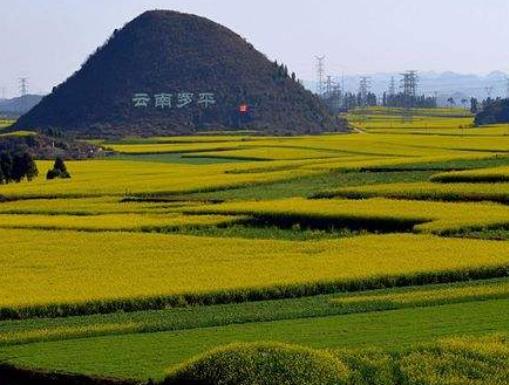 十大最色的全球美景地旅游景點(diǎn)排行 普羅旺斯薰衣草田泛著紫色光芒