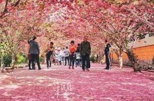 中國最美的村落十大旅游景點(diǎn)排行 貴州西江千戶苗寨十分美麗