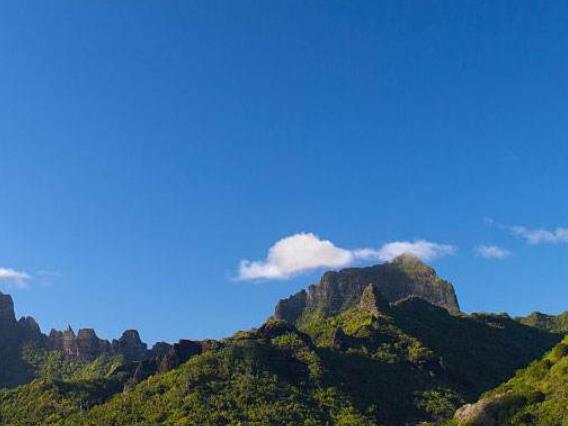 世界上最神秘的十大島嶼旅游景點(diǎn)排行 企鵝島被稱(chēng)為企鵝的天堂