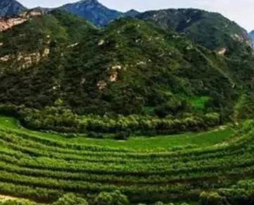 世界最著名的十大峽谷旅游景點(diǎn)排行 普羅沃峽谷位于美國(guó)猶他州