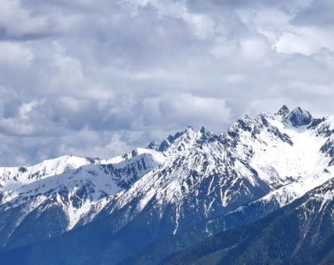 中國十大原始森林旅游景點排行 雪嶺云杉是天山林海中特有一個樹種