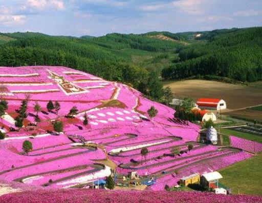 全球十大青春旅行地旅游景點(diǎn)排行 格拉斯是法國(guó)香水業(yè)的中心