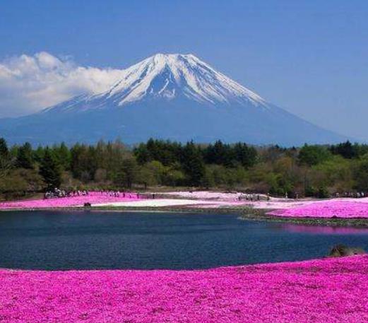 不可錯過的10大旅游勝地旅游景點排行 巴西還擁有許多的旅游資源