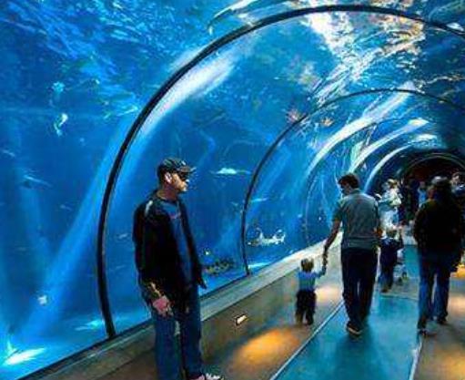 世界十大最酷海底旅館旅游景點排行 奔巴島位于桑給巴爾群島