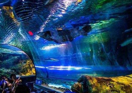 世界十大最酷海底旅館旅游景點排行 奔巴島位于桑給巴爾群島