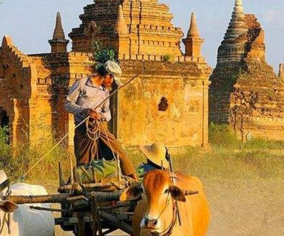 十大最受歡迎的熱氣球旅行地旅游景點(diǎn)排行 雅拉河谷是世界級(jí)釀酒廠