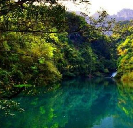 中國十大原始森林旅游景點排行