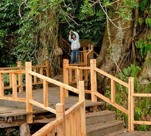 中國十大原始森林旅游景點排行
