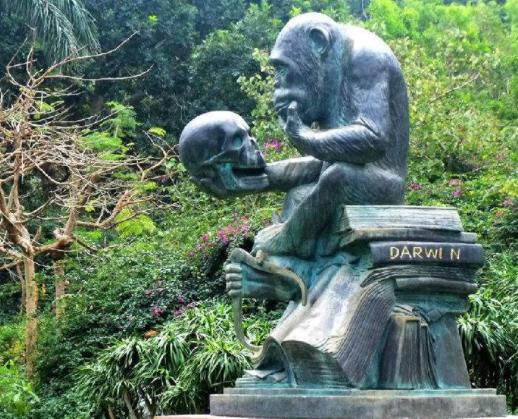 三亞最美最值得去的旅游景點(diǎn)旅游景點(diǎn)排行 亞龍灣是海南名景之一