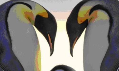 全球五大“活得最累”的動(dòng)物 紅毛猩猩現(xiàn)在全球僅存3萬(wàn)只