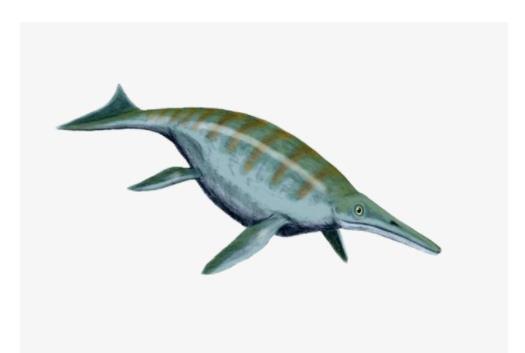 地球五大最可愛(ài)動(dòng)物 尖嘴魚與海馬和海龍是同一族生物