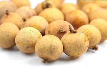 福建福州土特產(chǎn)品排行 橄欖呈紡錘形果形秀美