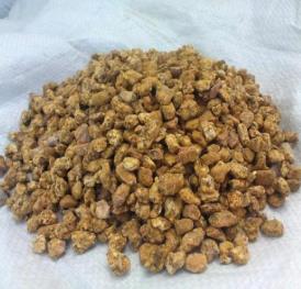遼寧阜新土特產(chǎn)品排行 大扁杏果面黃色陽(yáng)面略有紅暈