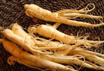 遼寧撫順土特產(chǎn)品排行 人參又叫棒棰野生植物