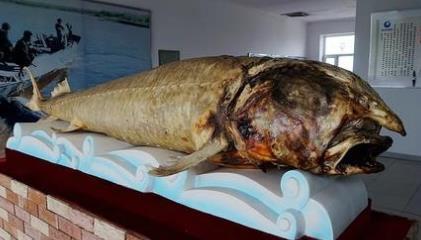 黑龍江黑河土特產(chǎn)品排行榜 五大連池礦泉水能飲能浴