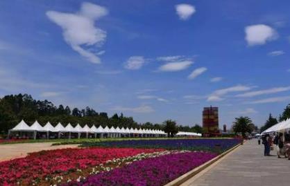 中國適合春季旅游的5a景區(qū) 杭州西湖風景名勝區(qū)位于杭州市中心