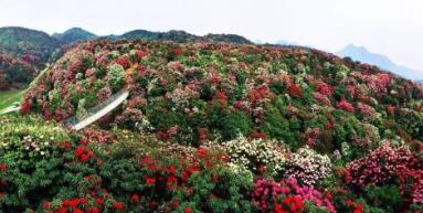 中國適合春季旅游的5a景區(qū) 杭州西湖風景名勝區(qū)位于杭州市中心