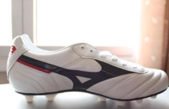 世界運(yùn)動(dòng)品牌排名 Nike(美國(guó))耐克 1972年NIKE公司正式成立