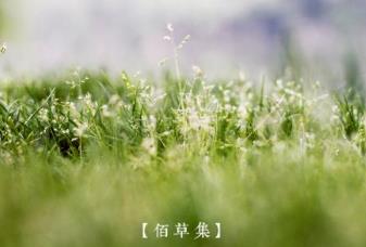 國(guó)產(chǎn)女士香水品牌排行榜 貝麗絲受到了消費(fèi)者的普遍喜愛(ài)