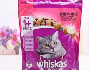 什么品牌的貓糧最好 三才貓糧在食用時候要注意多補(bǔ)水了
