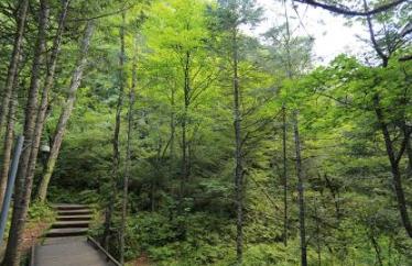 黑龍江旅游景點 五大連池風(fēng)景名勝區(qū)有著優(yōu)美的人文景觀