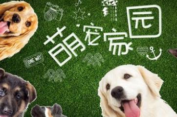 寵物店十大品牌排名 大嘴狗寵物店成立于2009年專(zhuān)注寵物醫(yī)療服務(wù)