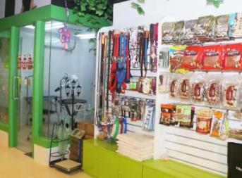寵物店十大品牌排名 大嘴狗寵物店成立于2009年專(zhuān)注寵物醫(yī)療服務(wù)