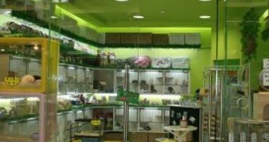 寵物店十大品牌排名 大嘴狗寵物店成立于2009年專(zhuān)注寵物醫(yī)療服務(wù)