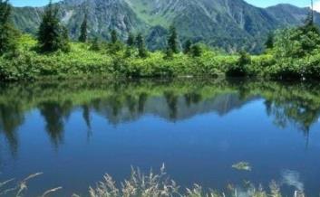 國內(nèi)適合5月份出游的十大景點(diǎn) 廈門鼓浪嶼是中國申遺項(xiàng)目