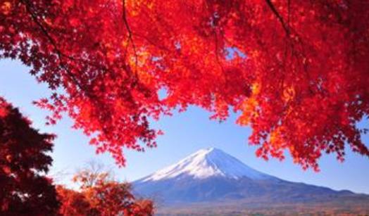 日本嵐山楓葉幾月看 京都嵐山游覽最佳時間