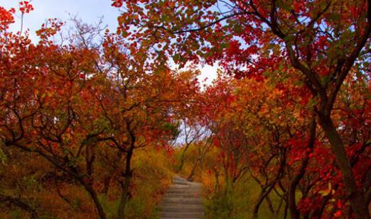 2018嵩山紅葉節(jié)什么時(shí)間 嵩山紅葉節(jié)時(shí)間