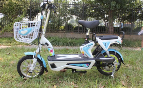 中國十大電動車品牌排名 愛瑪連續(xù)6年品牌力指數(shù)排名第一