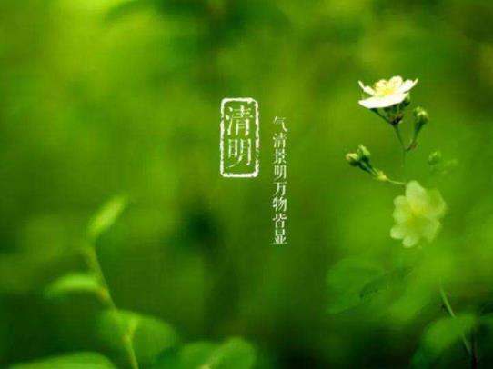 2022清明節(jié)適不適合去長沙玩?清明節(jié)去長沙要什么手續(xù)