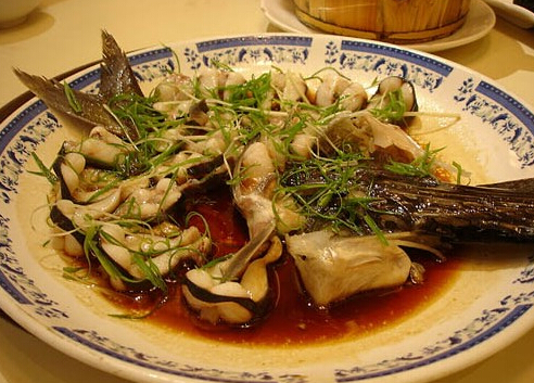鴨嘴魚是什么?鴨嘴魚的營養(yǎng)價值