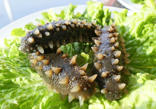 海參的適用人群-海參的營養(yǎng)價(jià)值
