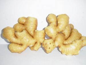 生姜去痘印有效嗎？生姜的功效與作用